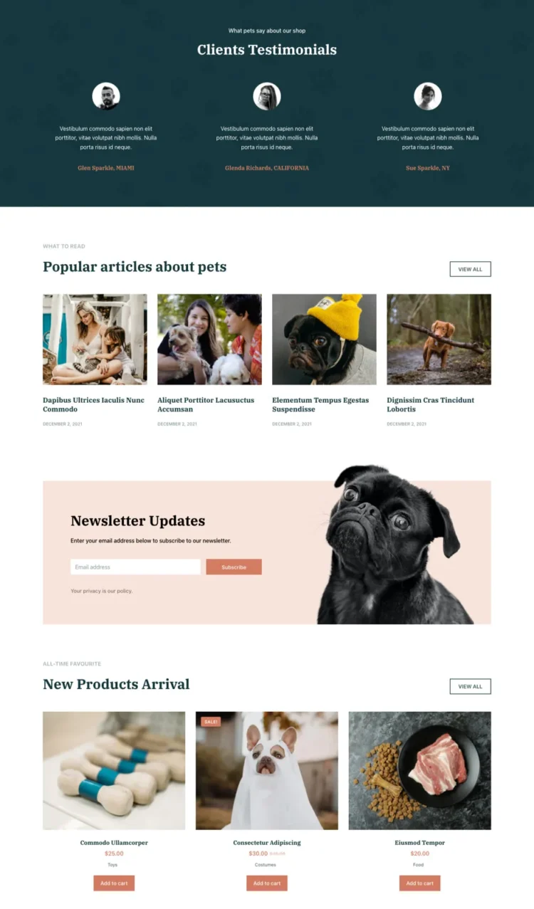 宠物食品与零食模板