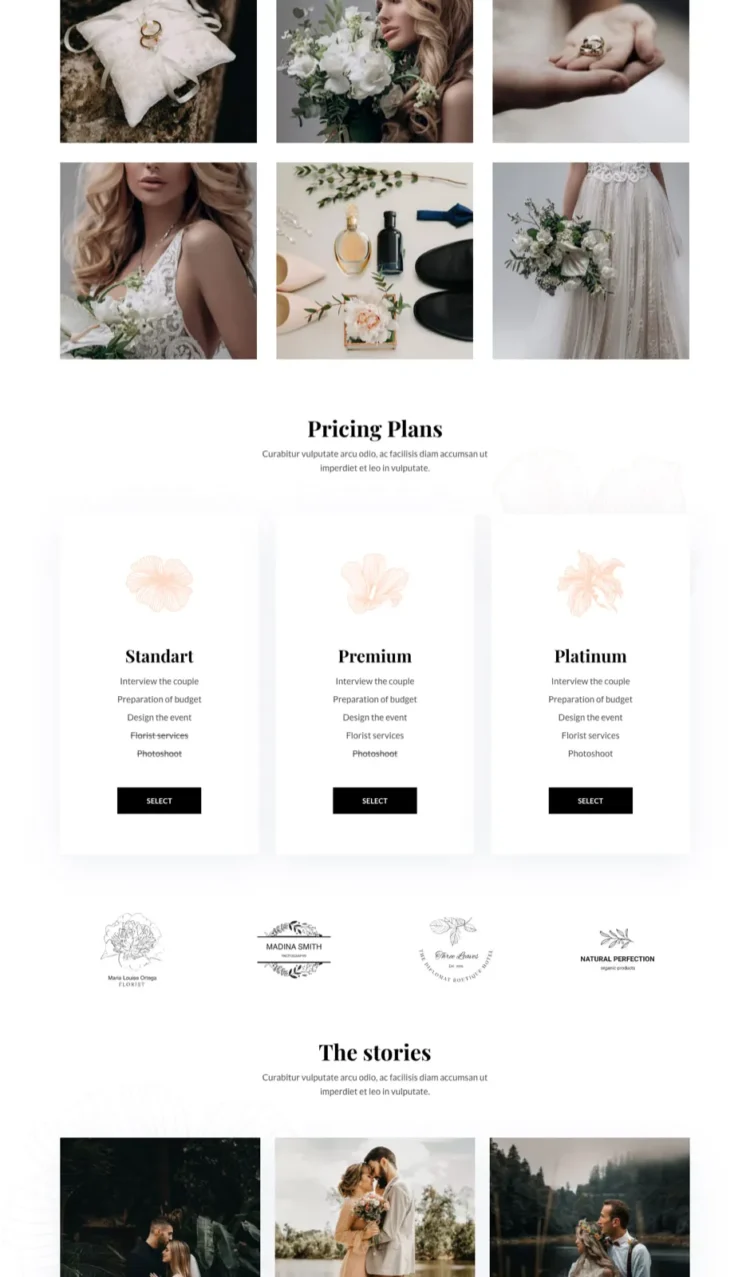 婚礼策划与服务机构模板