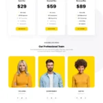 网站设计与开发模板