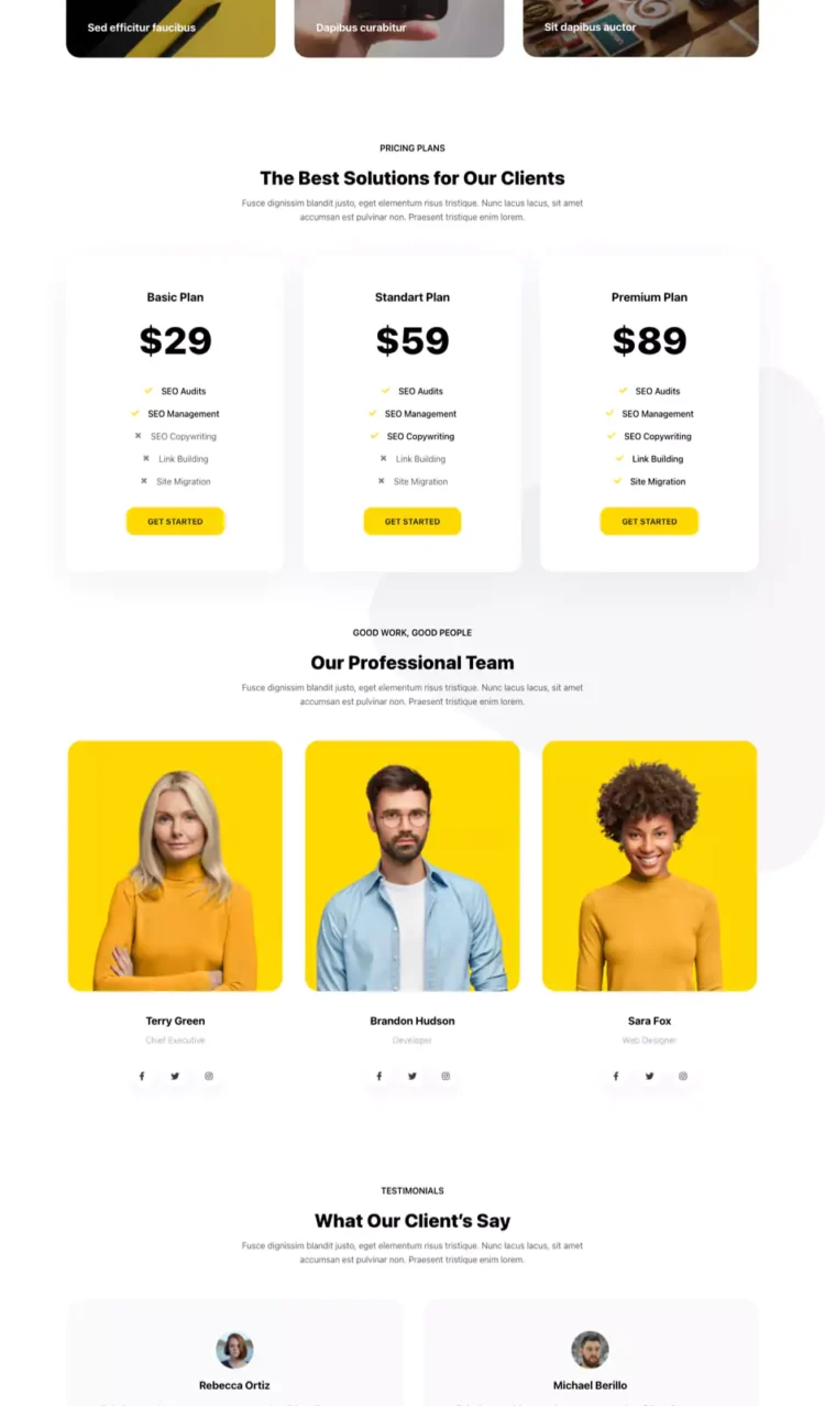 网站设计与开发模板