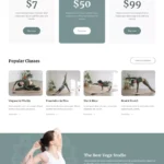 技能与知识付费模板