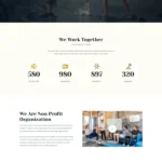 慈善基金会与公益组织模板