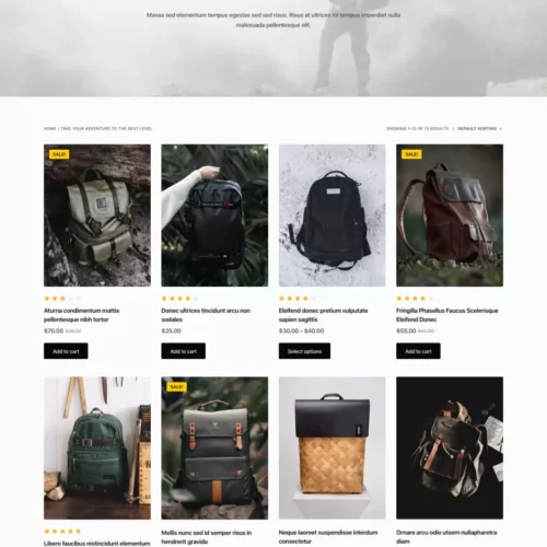 时尚与服饰零售模板