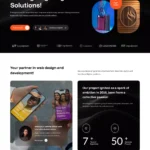 WEB开发行业模板