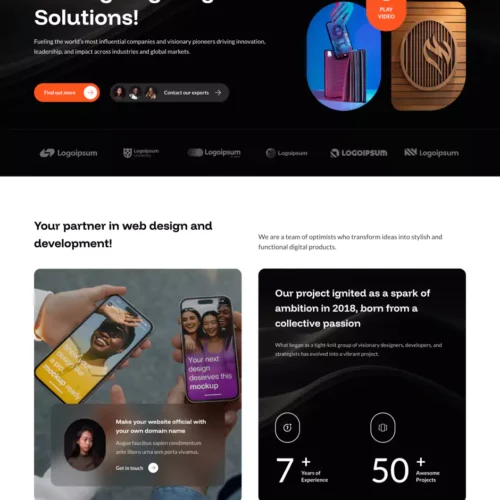 WEB开发行业模板