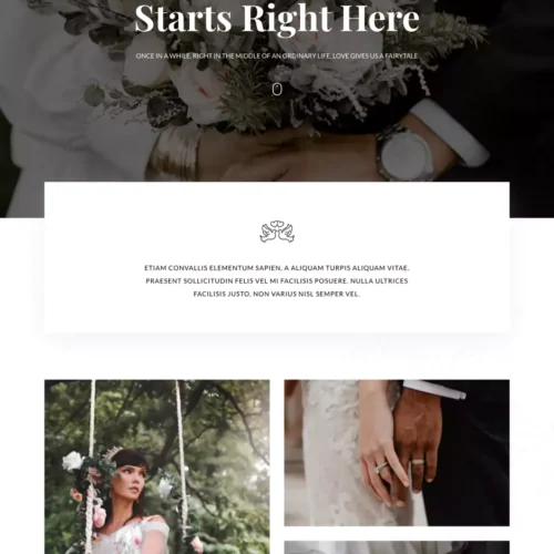 婚礼策划与服务机构模板