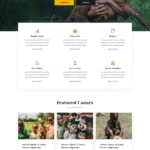 慈善基金会与公益组织模板