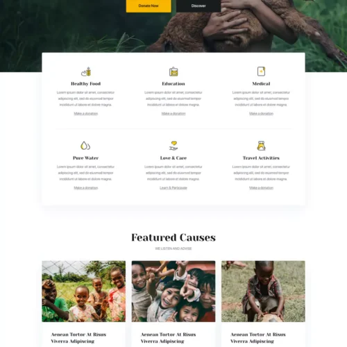 慈善基金会与公益组织模板