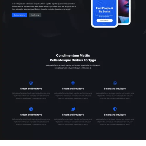 数字产品与服务模板